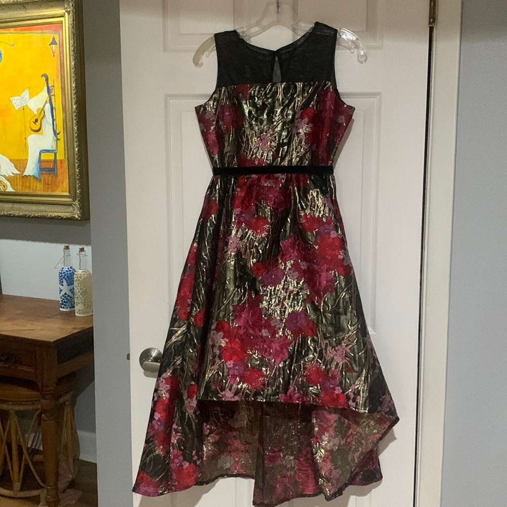 Absolutely Gorgeous Hi-Lo Dress